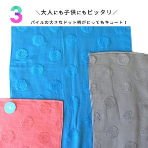 SOF ソフ フェイスタオル 無撚糸 コンテッ...の詳細画像4