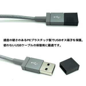 10個セット USB タイプA オス側 キャッ...の詳細画像2