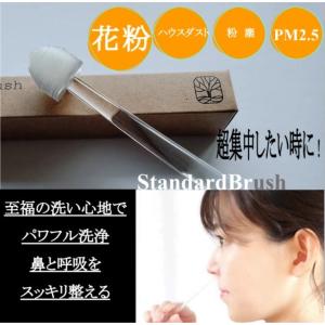 鼻腔内洗浄ブラシ/ 花粉 ハウスダスト/根本原因...の商品画像