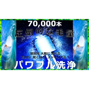 鼻腔内洗浄ブラシ/ 花粉 ハウスダスト/根本原...の詳細画像1