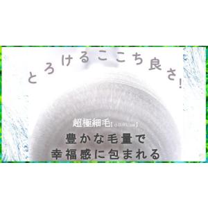 鼻腔内洗浄ブラシ/ 花粉 ハウスダスト/根本原...の詳細画像2
