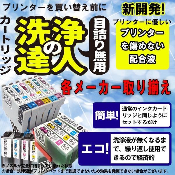 洗浄の達人　　キヤノンプリンター目詰まり  BCI-326 +BCI-325　洗浄液 ヘッドクリーニ...