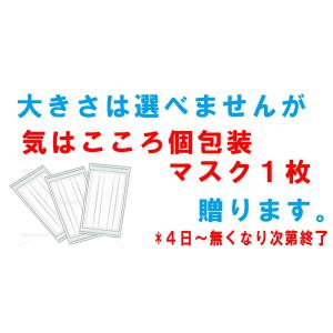 BCI-351XL+350XL/6MP can...の詳細画像2