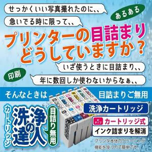 選べる洗浄液カートリッジ エプソン EPSON IC6165シリーズ IC4CL6165 カートリ｜standardcolor