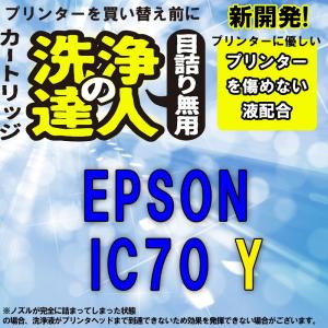 洗浄の達人　　エプソンプリンター目詰まりIC6CL70L(Y イエロー)洗浄液 ic70L洗浄カートリッジ｜standardcolor