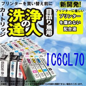 洗浄の達人 IC6CL70L(6色セット) エプソンプリンター目詰まり解消 ic70L洗浄液ヘッドカートリッジ｜standardcolor