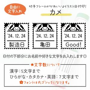 カメ|切手フレーム日付印 角18mm イラスト...の詳細画像1