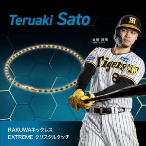 【柳田悠岐選手愛用商品】phiten(ファイテ...の詳細画像1