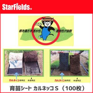 エースマット（水稲育苗用ロックウールマット）Nタイプ（一般用） 30
