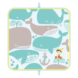 ピノキオ クジラの商品一覧 通販 Yahoo ショッピング