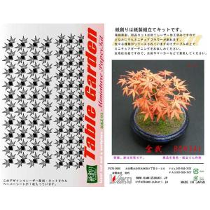 和巧 ジオラマアクセサリーシリーズ 1/48 バラ g6bh9ry Amazon | 和巧 ジオラマアクセサリーシリーズ 1/48 ヤシの葉
