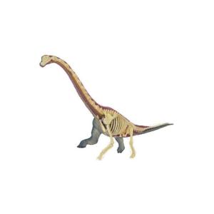 アオシマ 立体パズル 4D VISION 動物解剖 ブラキオサウルス 解剖モデル｜star-gate