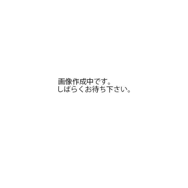 エネオス サスティナ SN 0W-20 エンジンオイル トヨタ クラウン クラウンマジェスタ コンフ...