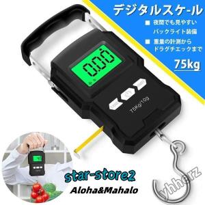 ホクエイ HOS-ID92 オイルサーバー 屋内用 揚程10mまで対応 ホクエイ HOS-ID92 オイルサーバー 屋内用 揚程10mまで対応