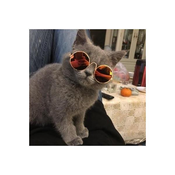 ペット用サングラス 猫用サングラス 猫用メガネ ペットメガネ ペット眼鏡 丸眼鏡 ペットグッズ ネコ...