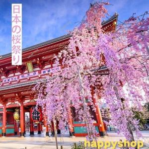 めがね ドライアイ 眼鏡 防塵 ゴーグル アイ...の詳細画像1