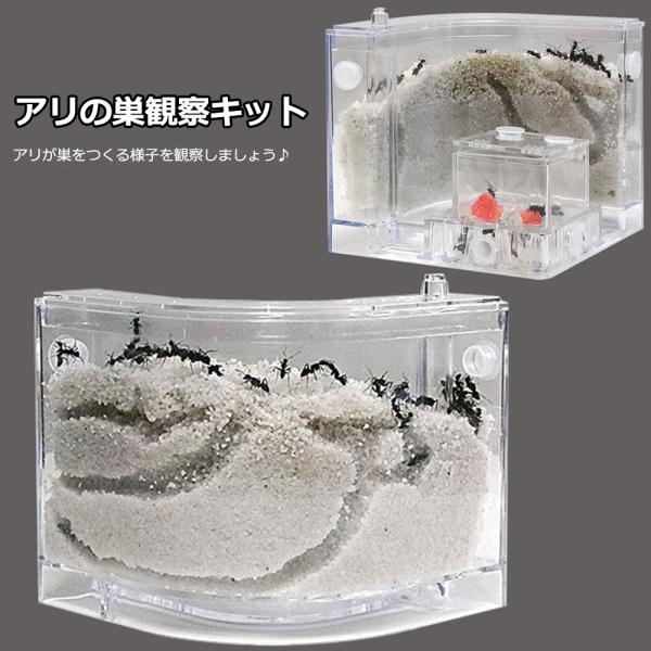 アリの巣　あり観察キット　飼育ケース　砂　自由研究 小学生 あり 蟻 飼育セット 実験セット 観察　...