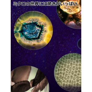 顕微鏡 子供 顕微鏡 ハンディ顕微鏡 60〜1...の詳細画像2