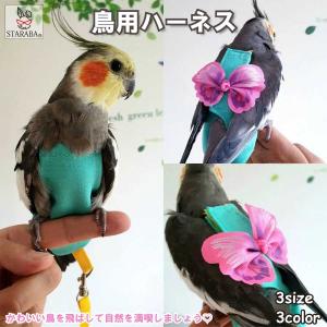 AVIATOR アビエーター バードハーネス パープル　紫　Lサイズ 鳥用 ハーネス AVIATOR L : えとぴりかオンラインショップ - 通販