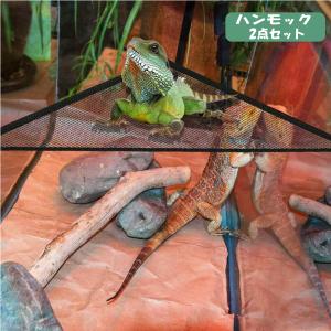 爬虫類 トカゲ ハンモック メッシュ 2点セッ...の詳細画像1