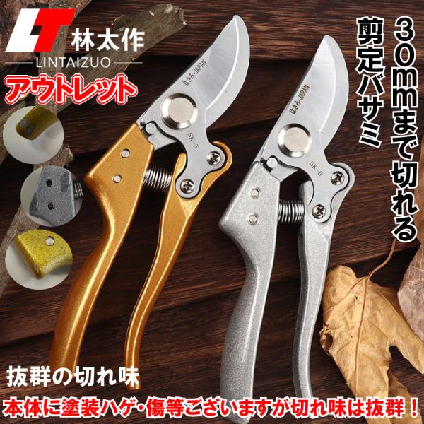 訳あり  数量限定 アウトレット 剪定ばさみ はさみ 30mm ハサミ 庭 ガーデン 園芸 枝切り ...