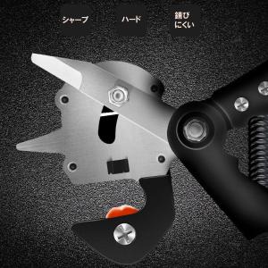 接ぎ木バサミ はさみ 替え刃 専用ケース付き ...の詳細画像4