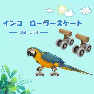 小鳥 インコ オウム ローラースケート ストレス解消 しつけ 訓練 学習 遊び ストレス解消 運動 メール便 送料無料