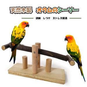 小鳥 インコ オウム シーソー ストレス解消 しつけ 訓練 学習 遊び ストレス解消 運動  送料無料｜staraba