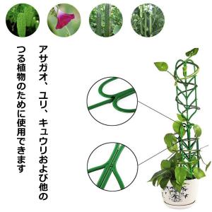 植物支柱 植物 支柱 設置簡単 庭 プランター...の詳細画像2