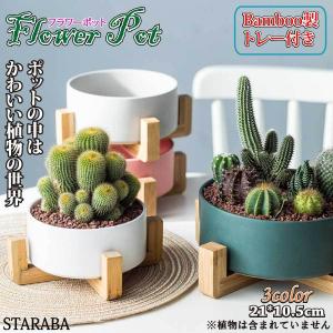多肉植物 鉢 ミニ植木鉢 4点セット 母の日 おしゃれ 陶器鉢 観葉植物