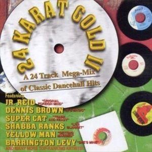 輸入盤 VARIOUS / 24 KARAT GOLD DANCEHALL MEGAMIX 2 [C...