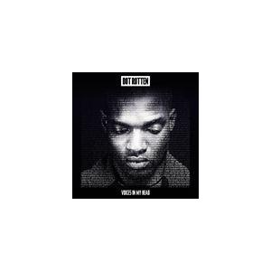 輸入盤 DOT ROTTEN / VOICES IN MY HEAD [CD]