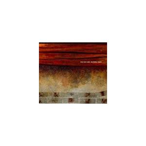 輸入盤 NINE INCH NAILS / HESITATION MARKS （JEWEL CASE...