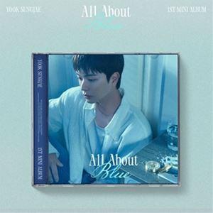 輸入盤 YOOK SUNG JAE （BTOB） / 1ST MINI ALBUM ： ALL AB...