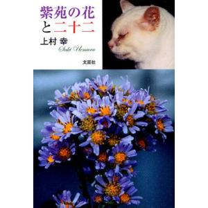 紫苑の花と二十二｜starclub