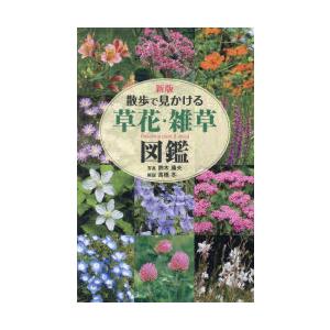 散歩で見かける草花・雑草図鑑