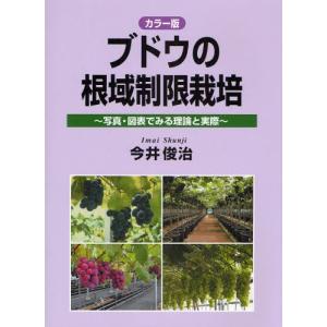 SAPIX サピックス 言葉ナビ 上巻/下巻 計2冊 025S2D : ブックス