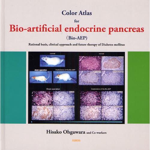 Color Atlas for Bio‐artificial endocrine pancreas〈...