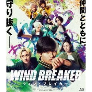 ☆DVD めぐり逢い (1994年リメイク版)*ウォーレン・ベイティ.アネット