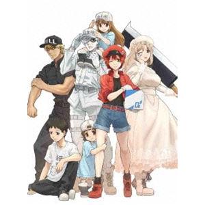 はたらく細胞 全13話+特別編BOXセット ブルーレイ【Blu-ray