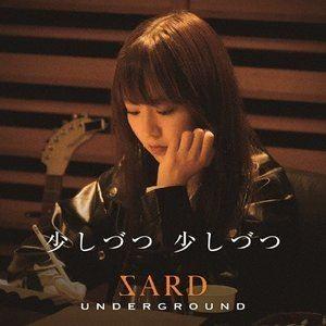 SARD UNDERGROUND / 少しづつ 少しづつ（初回限定盤／CD＋DVD） [CD]