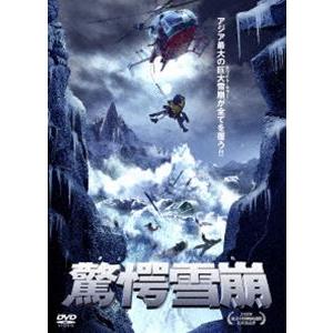 驚愕雪崩 [DVD]