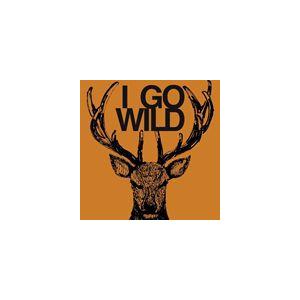 TRICERATOPS / I GO WILD（通常盤） [CD]