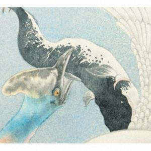 くるり / 儚くも美しき12の変奏（初回限定盤／CD＋DVD） [CD]