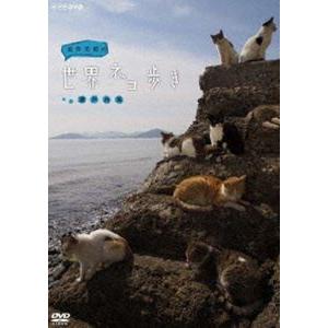 優良配送 DVD CUE DREAM JAM-BOREE 2004 : Disc shop suizan 2号店