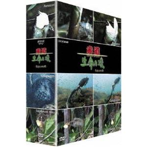 Equator -赤道- DVD-BOX [DVD]