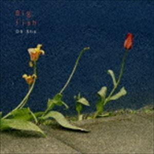 王舟 / Big fish [CD]