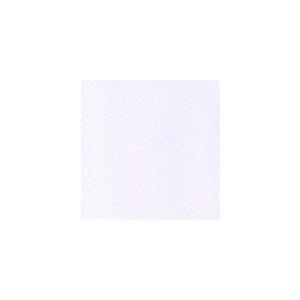 BUMP OF CHICKEN / present from you [CD]
