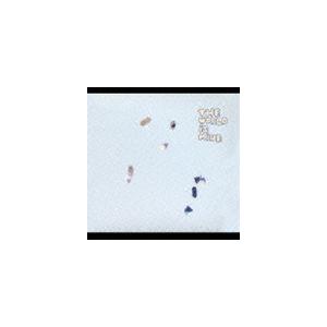 くるり/THE WORLD IS MINE(CD)...
