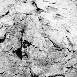Michael Grigoni，Chihei Hatakeyama，Stephen Vitiello / Earth Awhile